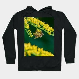 Topsy-turvy world Hoodie